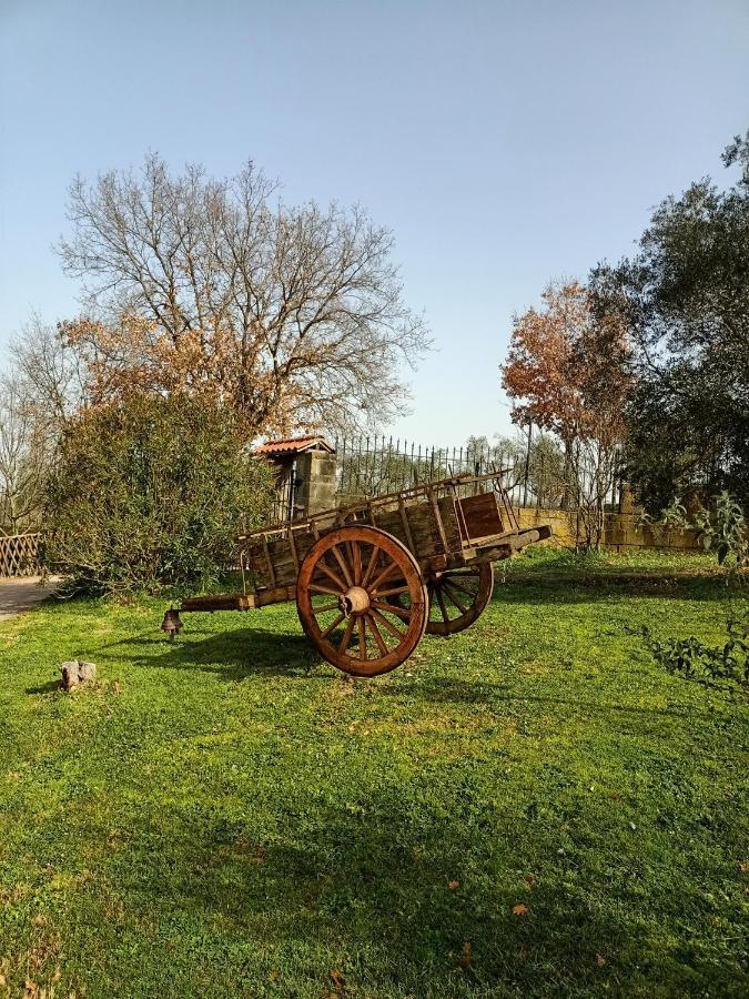 Rifugio Di Campagna Vila Vitorchiano Exterior foto